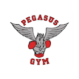 Pegasus gym icon