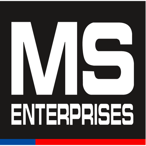 MS Enterprise logo