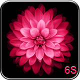 Flowers 6S Live Wallpaper icon