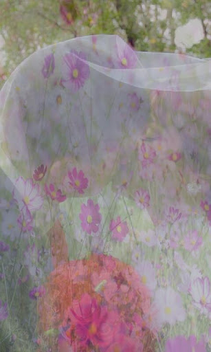 Android application TransPhoto screenshort