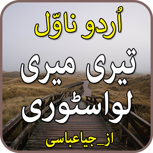 Teri Mri luv Story-urdu novel