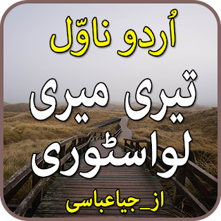 Teri Mri luv Story-urdu novel apk