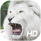 White Lion Wallpaper HD icon