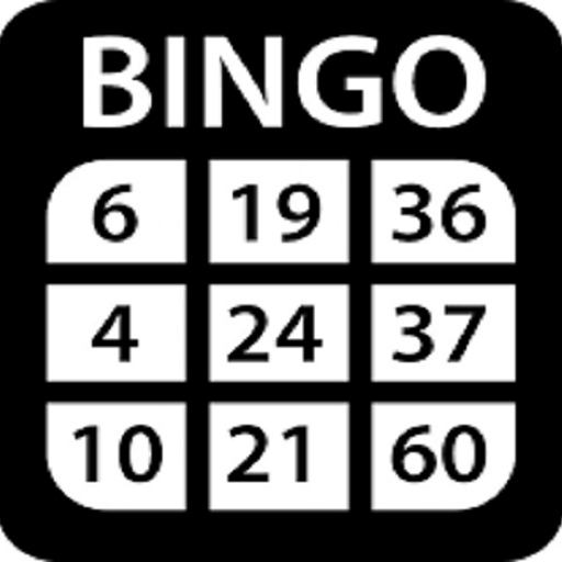 Bingo ZY logo