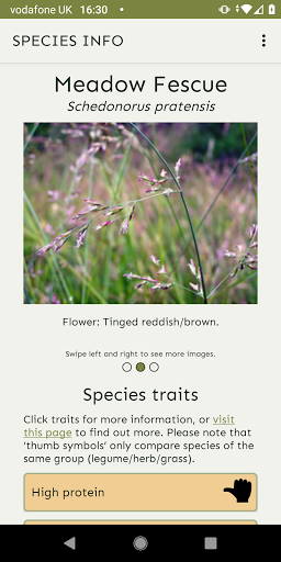 Sward App Screen 2