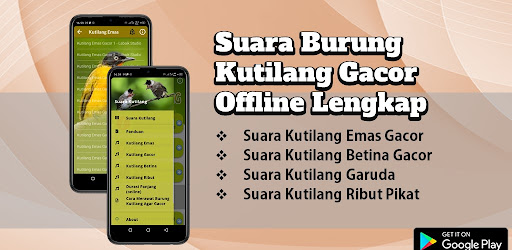 Suara Kutilang Gacor Mp3