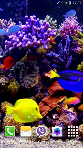 Aquarium 4K Video Wallpaper Screen 2