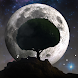 3D Moon Tree Live Wallpaper - Androidアプリ