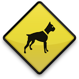 Curso de Adestramento de Cães icon