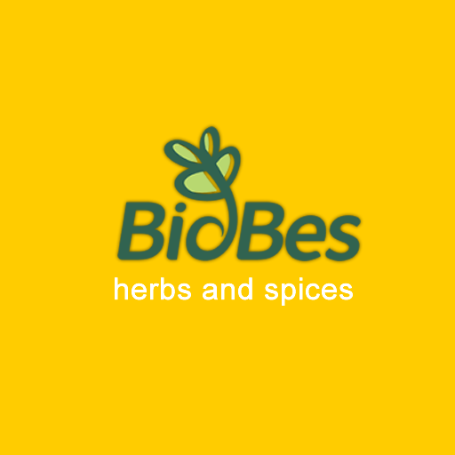 BioBes 1.0 Icon