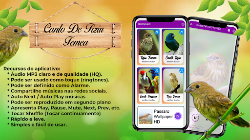 Android application Canto De Tiziu Fêmea screenshort