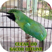 Top 30 Entertainment Apps Like Cucak Ijo Gacor Offline - Best Alternatives