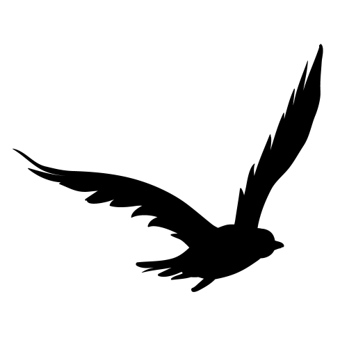 Birdzout Auto Laser Ultimate logo