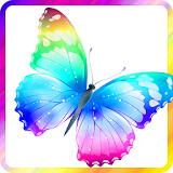 Colorful Butterfly Wallpaper icon