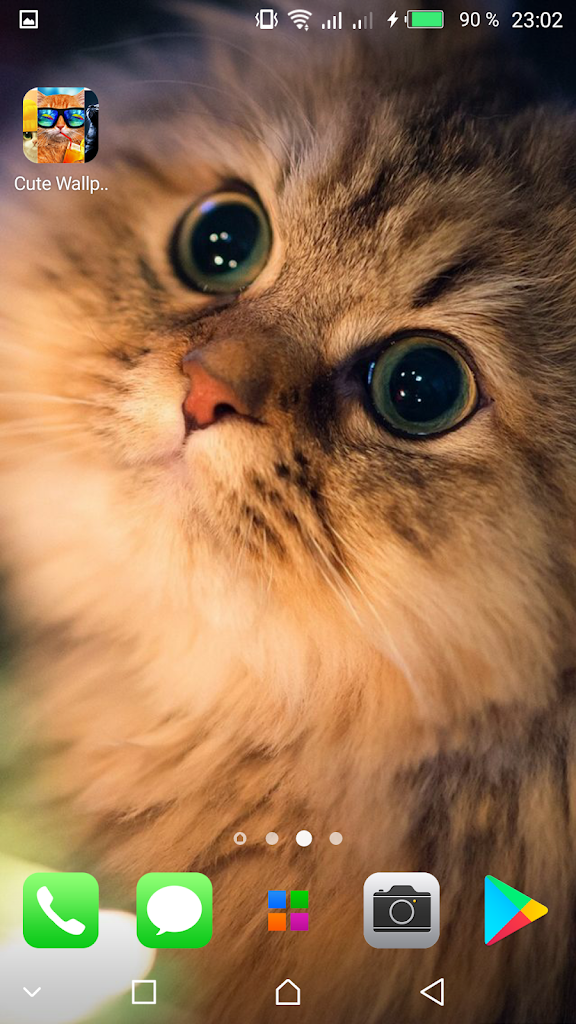 Mignon Chats Fonds D Ecran Pour Android Apk Telecharger Mignon Chats Fonds D Ecran Pour Android Apk Telecharger