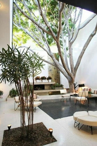 Indoor Green Garden Designs Screen 3