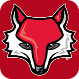 Marist Red Foxes + icon