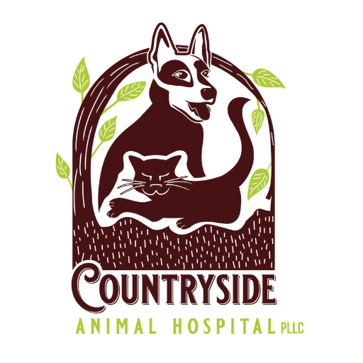 Strasburg store animal hospital