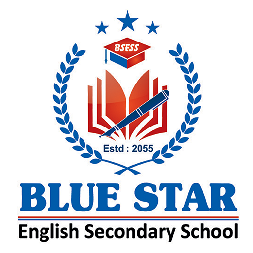 Blue Star E.S School logo