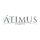 ATIMUS viagens Скачать для Windows