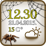 Spider Clock And Weather icon