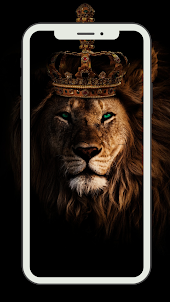 lion animal wallpaper hd