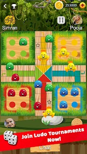 Timepass Ludo:Play Ludo Online 4