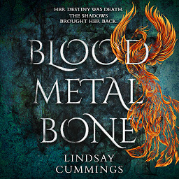 Icon image Blood Metal Bone