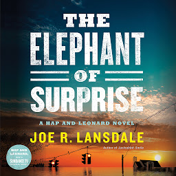 「The Elephant of Surprise」圖示圖片