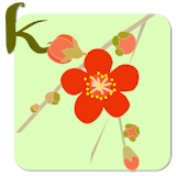 keeworld Theme:Plum Blossom icon