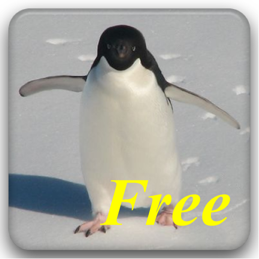 Full of Penguins Free  Icon