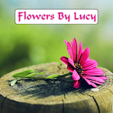 Flowers By Lucy icon