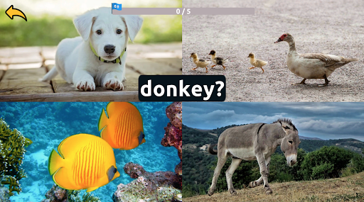 Learn Animals English Words Screen 3