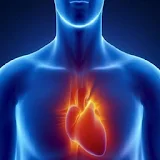 HeartCareTips-Tamil icon