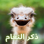 Cover Image of Download ذكر النعام  APK