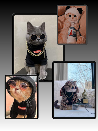 Cute Ipad Wallpapers Screen 3