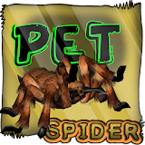 Spider Pet icon