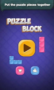 Block Brain Teaser Puzzle