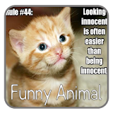 Best Funny Animals Pics icon