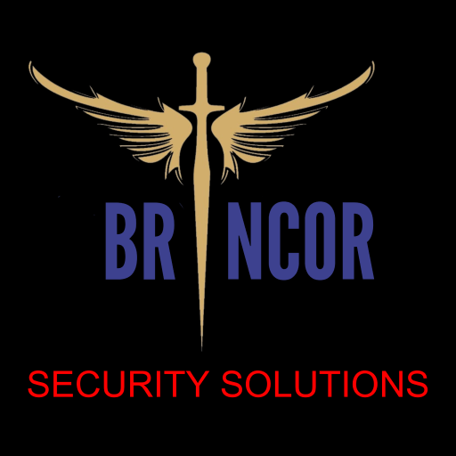 Brincor Panic App logo