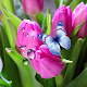 Tulips Live Wallpaper Download on Windows