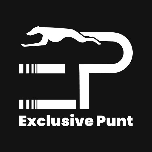 Exclusive Punt logo