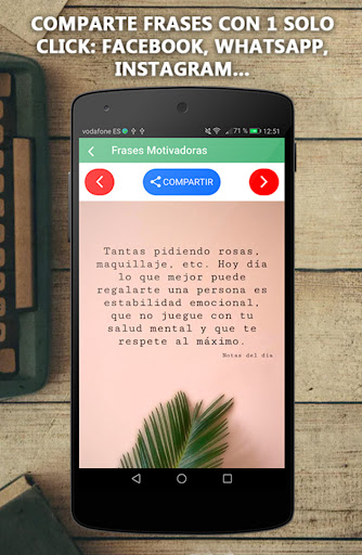 Vista previa de la aplicación