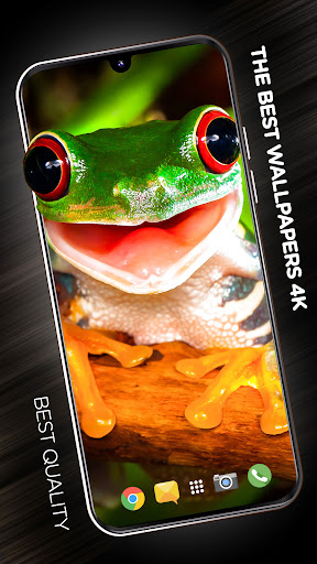 Android application Funny wallpapers screenshort