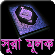 Top 41 Books & Reference Apps Like Surah Mulk Memorizer With Audio - Best Alternatives