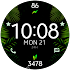 Tropical Leaves Watch Face