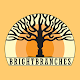 BrightBranches Interactive Family Tree Viewer Laai af op Windows