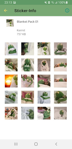 Kermit Meme Frog WASticker