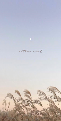 Android application [WISH] 가을바람 카톡 테마 screenshort