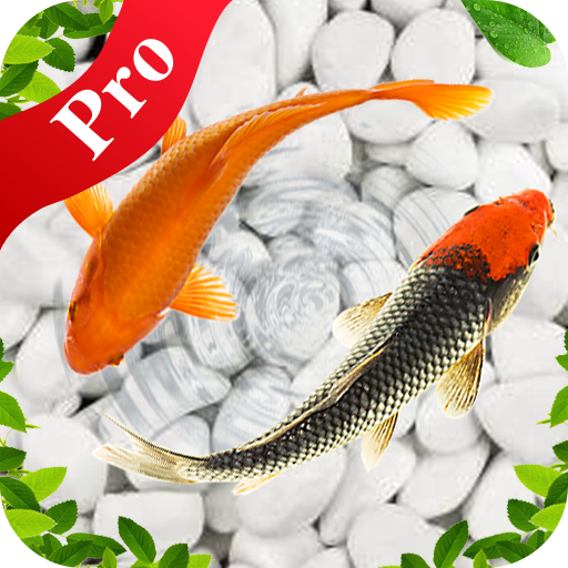 Download Fish Live Wallpaper Pro Aquarium Koi Backgrounds Free for Android  - Fish Live Wallpaper Pro Aquarium Koi Backgrounds APK Download -  